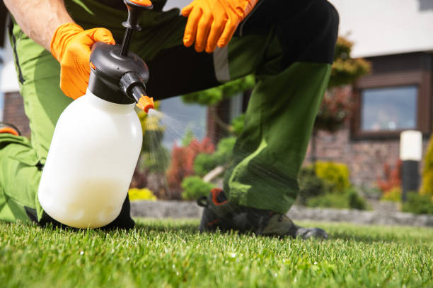 Best Pest Prevention Services  in Indiana, PA