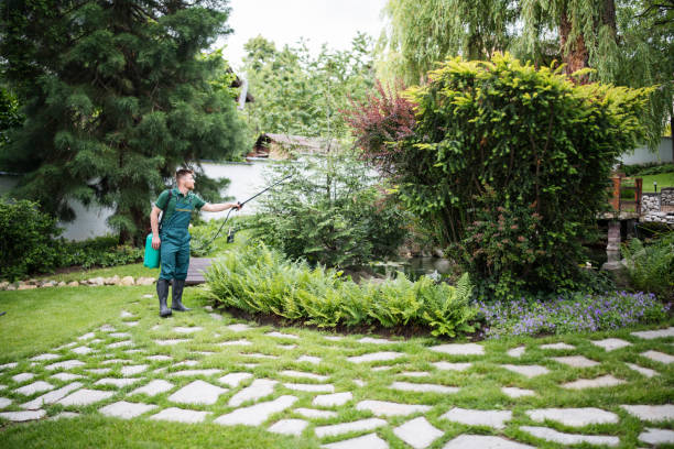 Pest Prevention Services in Indiana, PA