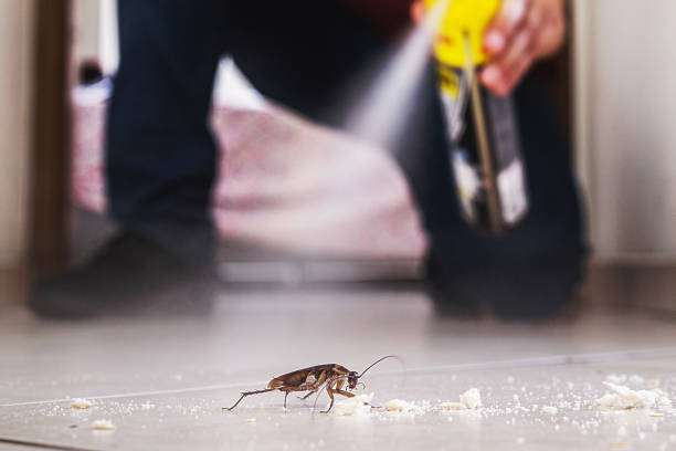 Best Pest Control for Restaurants  in Indiana, PA